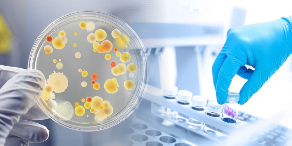 Certificações Labormed